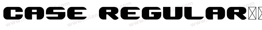 Case Regular字体转换